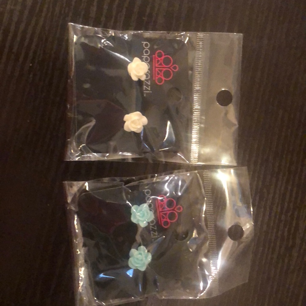 Paparazzi earrings NWT